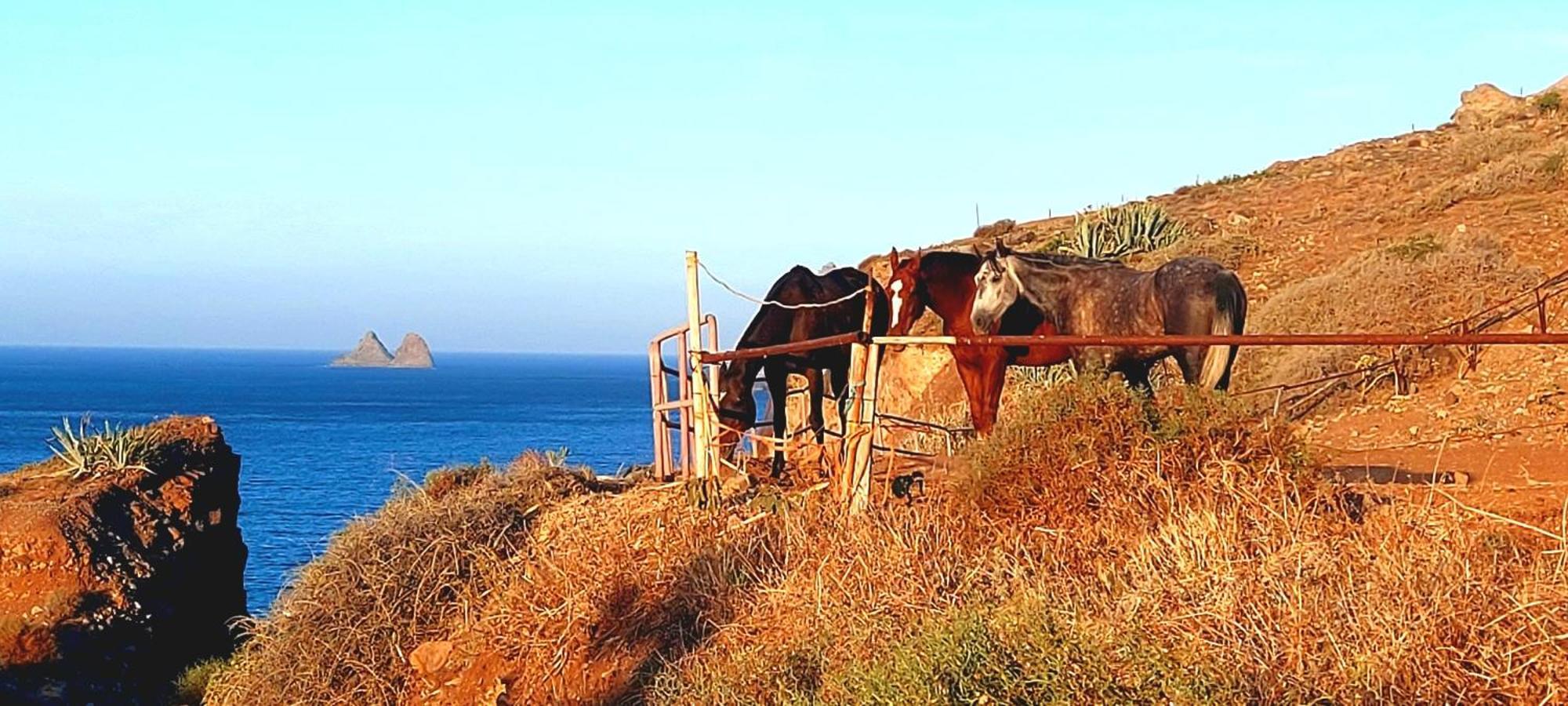 Casa Tucho Paraiso Sea Sound Santa Cruz de Tenerife Ngoại thất bức ảnh